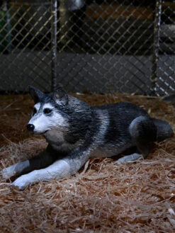 Deluxe Ultimate Dog Creature - 7" Scale Action Figure - The Thing - NECA Collectibles -Costumne super center Deluxe Ultimate Dog Creature 7 Scale Action Figure The Thing NECA Collectibles NECA Action Figures 3