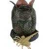Egg & Facehugger Lifesize Foam Prop Replica - Alien - NECA Collectibles 1 Egg & Facehugger Lifesize Foam Prop Replica - Alien - NECA Collectibles -Costumne super center Egg Facehugger Lifesize Foam Prop Replica Alien NECA Collectibles NECA Action Figures