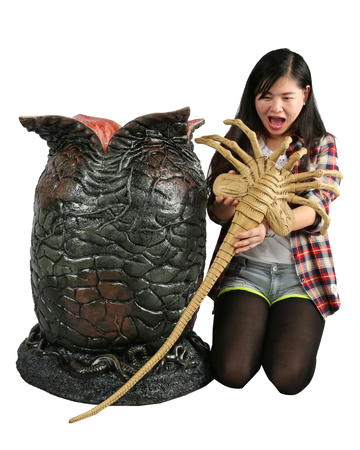 Egg & Facehugger Lifesize Foam Prop Replica - Alien - NECA Collectibles 5 Egg & Facehugger Lifesize Foam Prop Replica - Alien - NECA Collectibles - Image 3