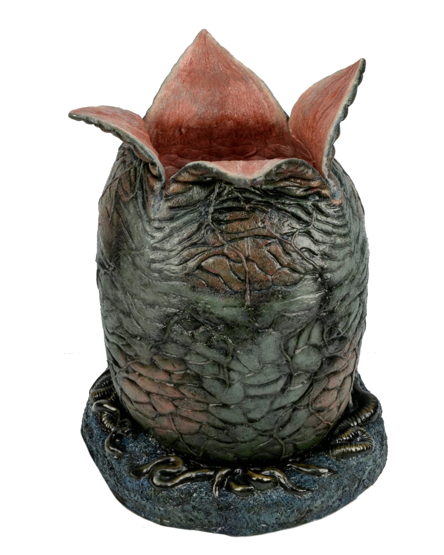 Egg & Facehugger Lifesize Foam Prop Replica - Alien - NECA Collectibles 7 Egg & Facehugger Lifesize Foam Prop Replica - Alien - NECA Collectibles - Image 5