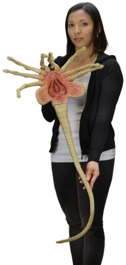 Facehugger - Lifesize Foam Prop Replica - Aliens - NECA Collectibles -Costumne super center Facehugger Lifesize Foam Prop Replica Aliens NECA Collectibles NECA Action Figures 3