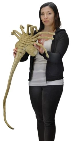 Facehugger - Lifesize Foam Prop Replica - Aliens - NECA Collectibles -Costumne super center Facehugger Lifesize Foam Prop Replica Aliens NECA Collectibles NECA Action Figures 4