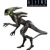 Spitter Alien - 7" Scale Action Figure - Aliens: Fireteam Elite - NECA Collectibles 1 Spitter Alien - 7" Scale Action Figure - Aliens: Fireteam Elite - NECA Collectibles -Costumne super center Spitter Alien 7 Scale Action Figure Aliens Fireteam Elite NECA Collectibles NECA Action Figures