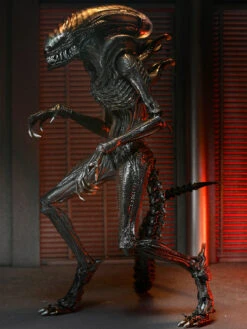 Ultimate Scorched Xenomorph - 7" Scale Action Figure - Alien: Romulus - NECA Collectibles -Costumne super center Ultimate Scorched Xenomorph 7 Scale Action Figure Alien Romulus NECA Collectibles NECA Action Figures 3