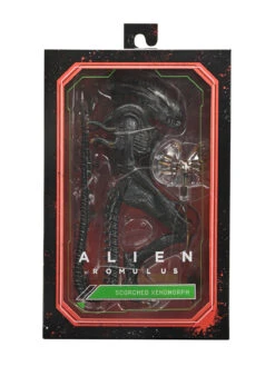 Ultimate Scorched Xenomorph - 7" Scale Action Figure - Alien: Romulus - NECA Collectibles -Costumne super center Ultimate Scorched Xenomorph 7 Scale Action Figure Alien Romulus NECA Collectibles NECA Action Figures 6