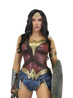 Wonder Woman - Lifesize Foam Replica - DC Comics - NECA Collectibles 8 Wonder Woman - Lifesize Foam Replica - DC Comics - NECA Collectibles -Costumne super center Wonder Woman Lifesize Foam Replica DC Comics NECA Collectibles NECA Action Figures 3