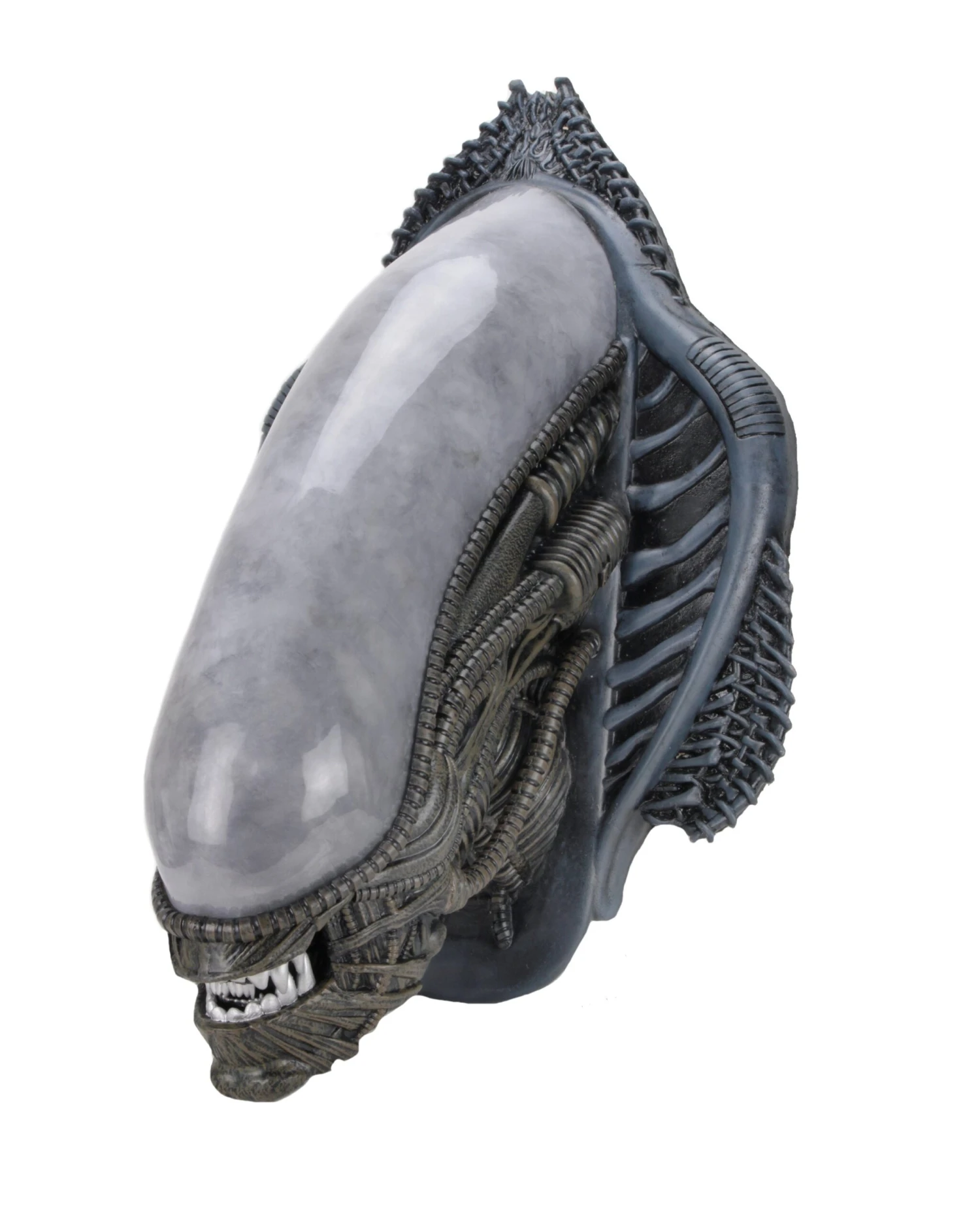 Xenomorph Alien Bust Wall-Mounted Foam Replica - Alien - NECA Collectibles 5 Xenomorph Alien Bust Wall-Mounted Foam Replica - Alien - NECA Collectibles - Image 3
