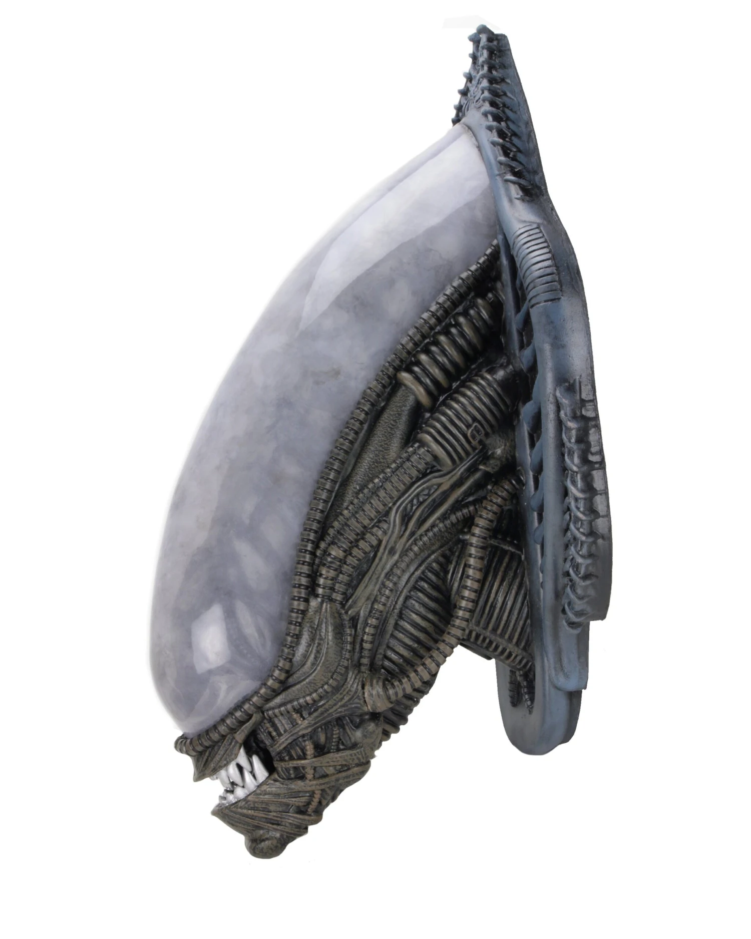 Xenomorph Alien Bust Wall-Mounted Foam Replica - Alien - NECA Collectibles 6 Xenomorph Alien Bust Wall-Mounted Foam Replica - Alien - NECA Collectibles - Image 4