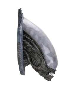 Xenomorph Alien Bust Wall-Mounted Foam Replica - Alien - NECA Collectibles 13 Xenomorph Alien Bust Wall-Mounted Foam Replica - Alien - NECA Collectibles -Costumne super center Xenomorph Alien Bust Wall Mounted Foam Replica Alien NECA Collectibles NECA Action Figures 6