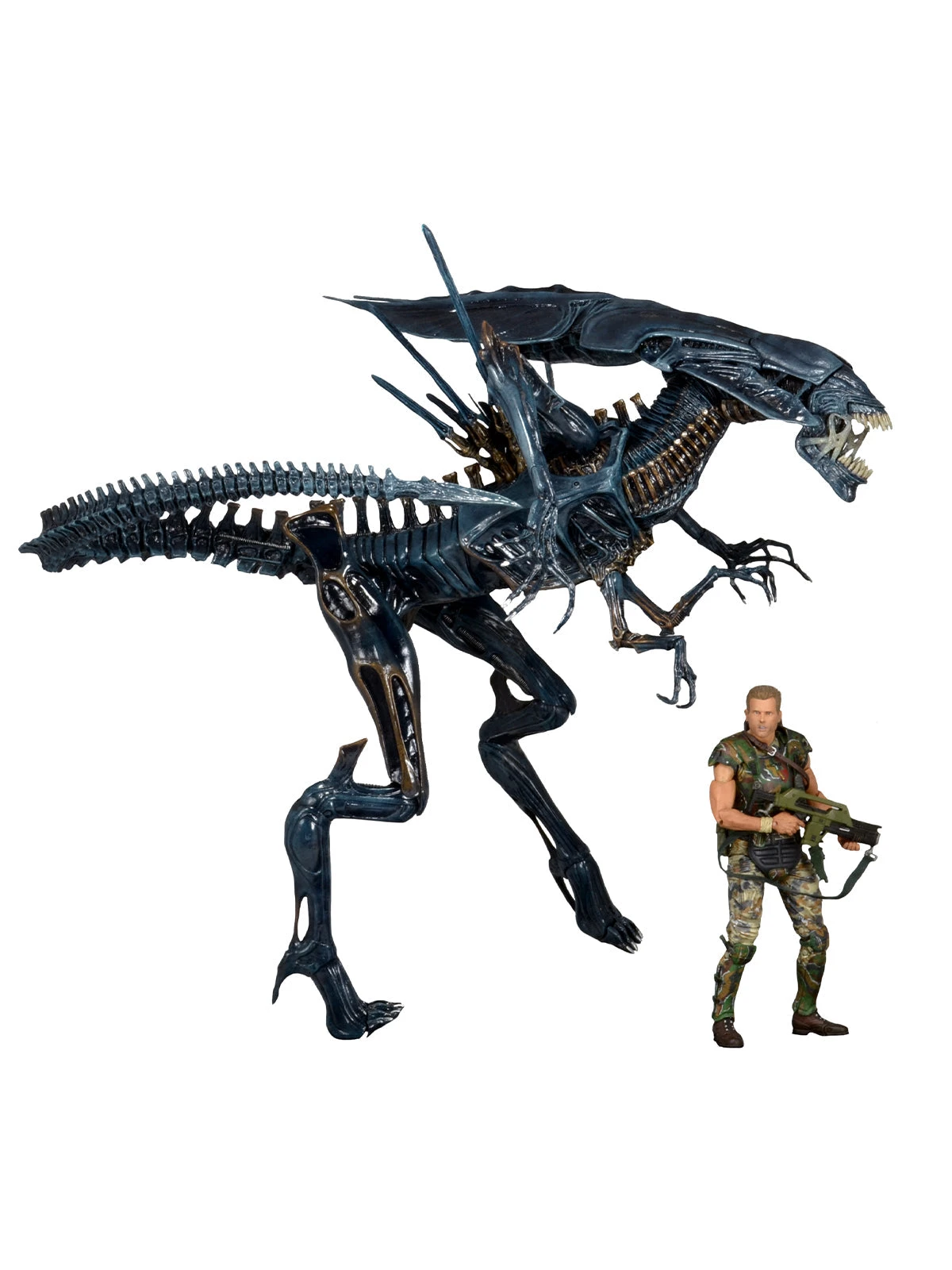 Xenomorph Queen Ultra Deluxe Boxed Alien - 7" Scale Action Figure - Aliens - NECA Collectibles 3 Xenomorph Queen Ultra Deluxe Boxed Alien - 7" Scale Action Figure - Aliens - NECA Collectibles
